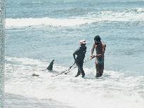 Shark fishermen